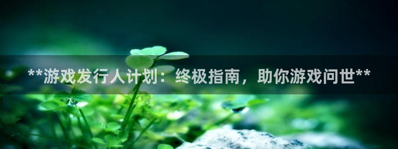 新航娱乐安卓版下载：**游戏发行人计划：终极指南，助你游戏问世**