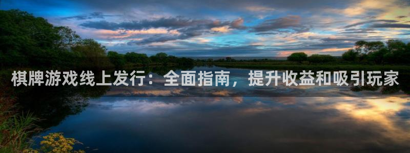 新航娱乐公司简介和历史背景介绍：棋牌游戏线上发行：全面指南，提升收益和吸引玩家