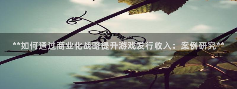 新航娱乐公司扣费流程详解视频大全：**如何通过商业化战略提升游戏发行收入：案例研究**