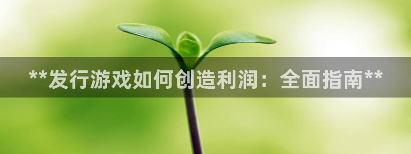 新航娱乐的会员权益与保障：**发行游戏如何创造利润：全面指南**