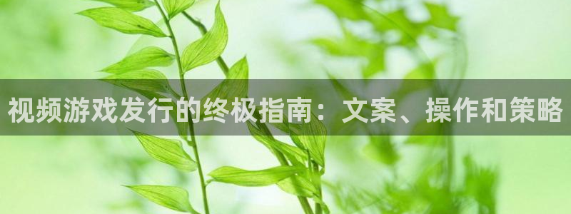 新航娱乐扣费是什么费用啊怎么退：视频游戏发行的终极指南：文案、操作和策略