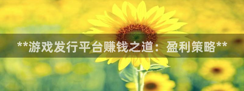 新航娱乐公司旗下艺人：**游戏发行平台赚钱之道：盈利策略**