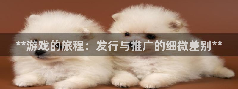 新航娱乐扣款7IIII2：**游戏的旅程：发行与推广的细微差别**