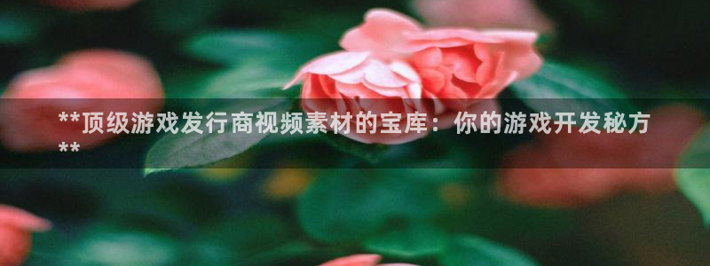 新航娱乐注册平台注册的步骤和注意事项：**顶级游戏发行商视频素材的宝库：你的游戏开发秘方
**