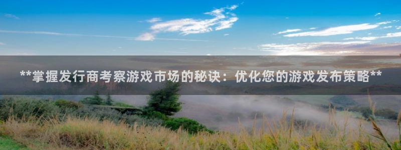 新航娱乐扣款详情：**掌握发行商考察游戏市场的秘诀：优化您的游戏发布策略**