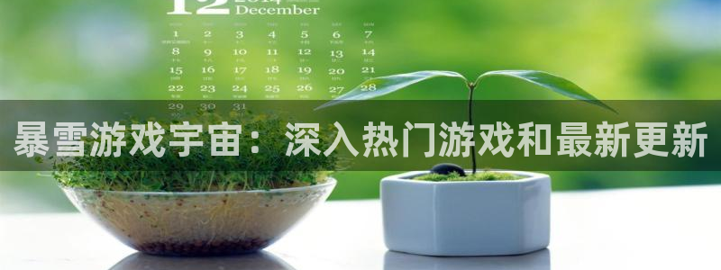 新航娱乐的创始人背景介绍：暴雪游戏宇宙：深入热门游戏和最新更新