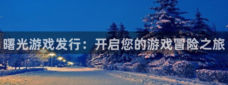 新航娱乐注册平台注册的步骤和注意事项：曙光游戏发行：开启您的游戏冒险之旅