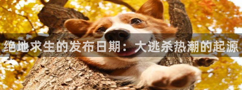 新航娱乐的创始人背景：绝地求生的发布日期：大逃杀热潮的起源
