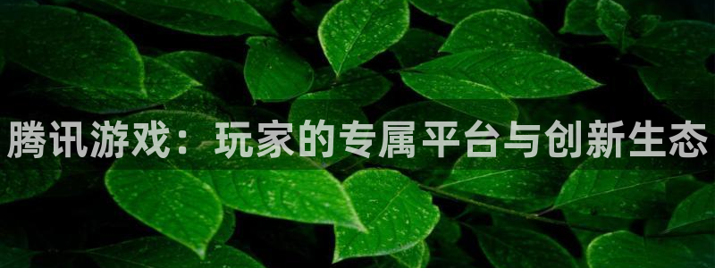 新航娱乐直开.中国最新版本更新内容