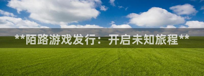 新航娱乐扣款后还能重新扣费吗怎么办：**陌路游戏发行：开启未知旅程**