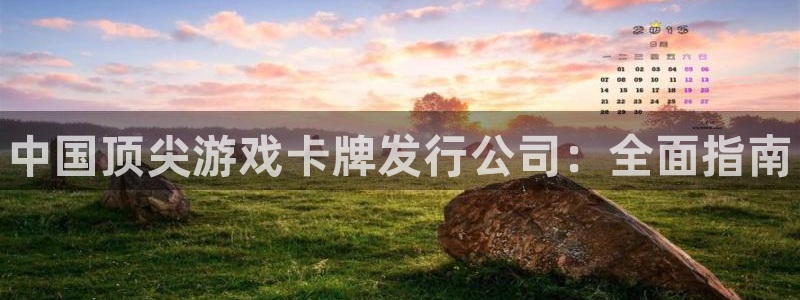 新航娱乐公司扣费流程详解表图片：中国顶尖游戏卡牌发行公司：全面指南