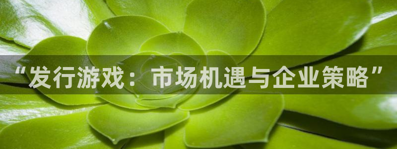 新航娱乐旗下平台有哪些