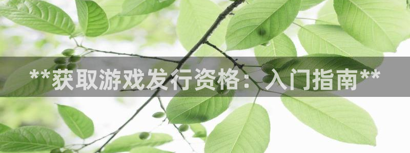 新航娱乐扣款7IIII2