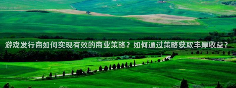新航娱乐旗下艺人列表：游戏发行商如何实现有效的商业策略？如何通过策略获取丰厚收益？