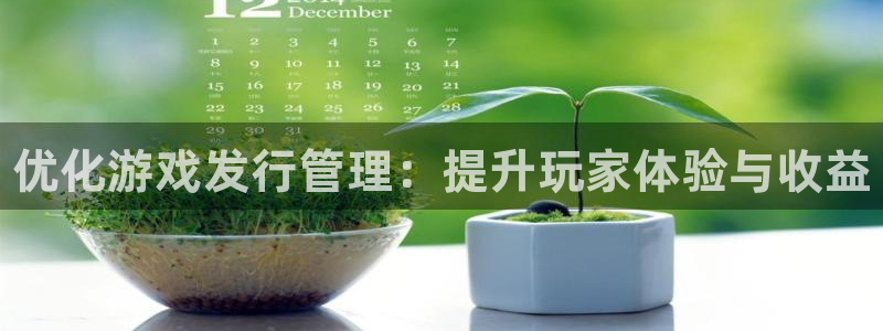 新航娱乐app的最新版本更新内容是什么：优化游戏发行管理：提升玩家体验与收益