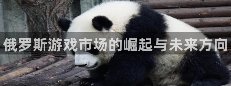 新航娱乐合法吗：俄罗斯游戏市场的崛起与未来方向