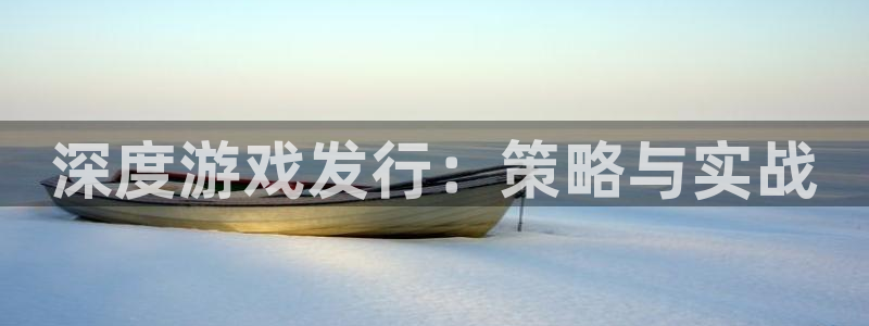 新航娱乐app的最新版本更新内容：深度游戏发行：策略与实战