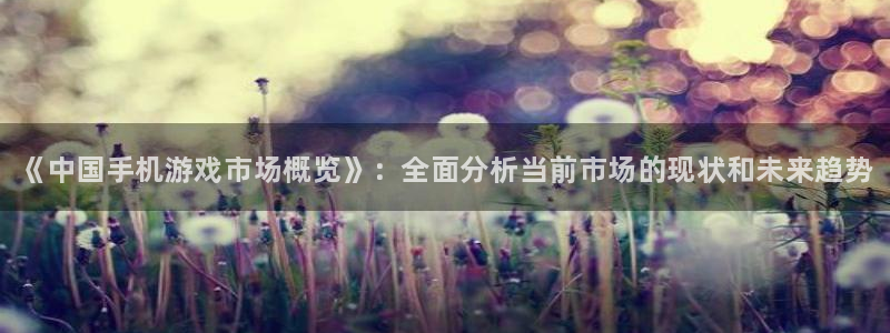 新航娱乐扣款7IIII处罚规定：《中国手机游戏市场概览》：全面分析当前市场的现状和未来趋势
