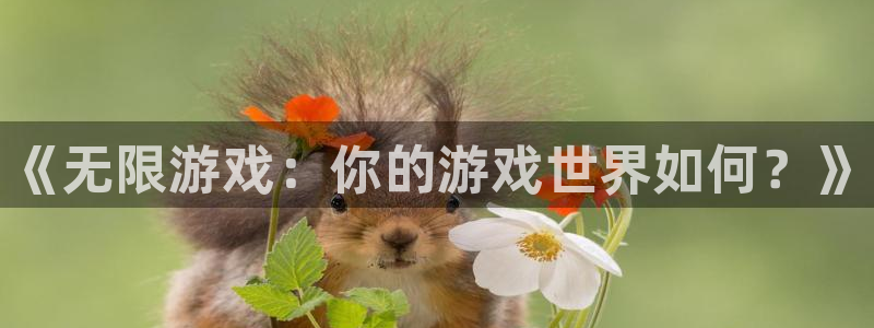 新航娱乐元哥：《无限游戏：你的游戏世界如何？》