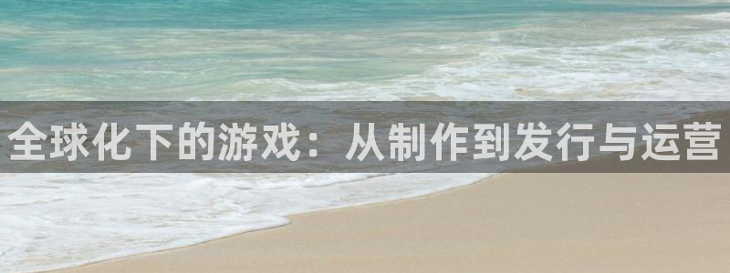 新航娱乐公司扣费流程详解图片：全球化下的游戏：从制作到发行与运营