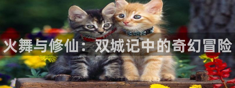 新航娱乐官网下载