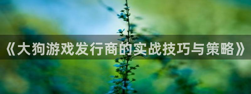 新航娱乐app手机版官网下载